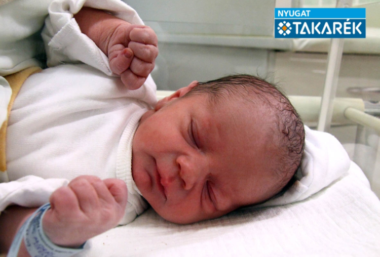 Vitálos András József, Mosonmagyaróvár