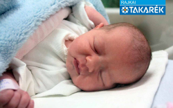 Sepf Rozina, Mosonmagyaróvár