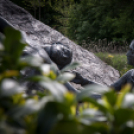 Emlékhelyek napja Mosonmagyaróvár