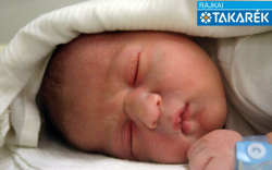 Lukács Máté László, Mosonmagyaróvár