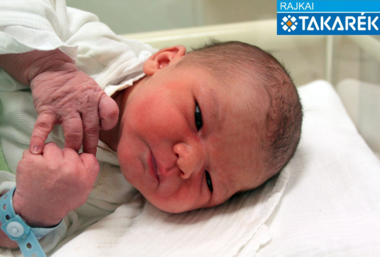 Szentesi Milán, Mosonmagyaróvár