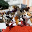 Kult-Utca - Napkeleti Délután (Fotó: Horváth Attila)