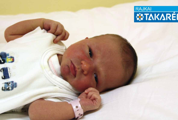 Bertalan Dorka, Mosonmagyaróvár