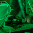 Punnany Massif - A FAHÁZBAN