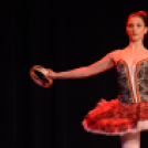 Ünnepi gálaműsor a tánc világnapja tiszteletére - Szigeti Gábor táncpedagógus emlékére