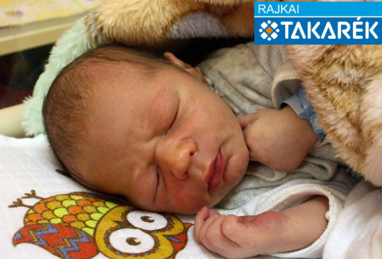 Kovács Attila, Kapuvár