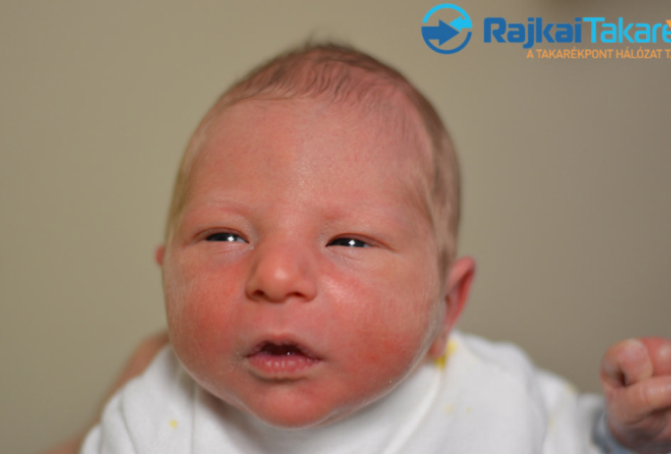 Kapui Ármin, 3350 gr. Feketeerdő