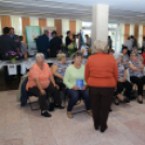 XIX. Mosonmagyaróvári Civil Nap 