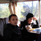 Pillangó Óvoda és Mini Bölcsőde - múlt idéző utazás egy Ikarus 55-ös buszon