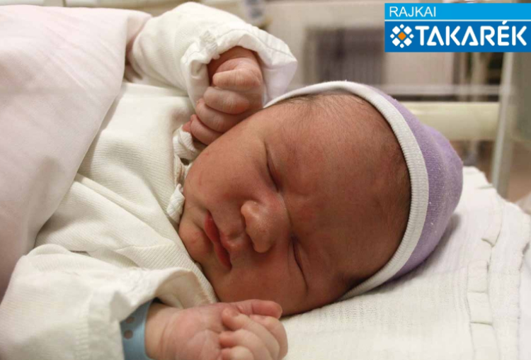 Sabján Zalán, Mosonmagyaróvár