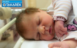 Nagy Illangó, Mosonmagyaróvár