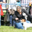 CAC kutyakiállítás (Fotó: Nagy Mária)