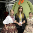 Fölszállott a páva 2016 döntő