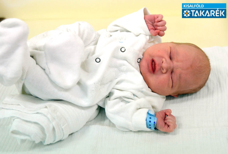 Leitner Balázs, Jánossomorja