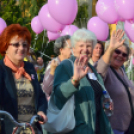 Lajta hídi séta 2015 (fotó: Patács Judit)