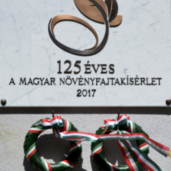 Emléktábla avatás