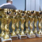 XV. Greiner Szigetköz Félmaraton