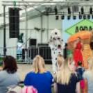 XII. Szigetköz ízei, Vármegye borai Fesztivál 3. nap