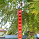 Hédervári sport és egészségnap (Fotó: Nagy Mária)