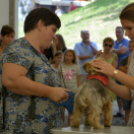 XII. Szigetköz ízei, Vármegye borai Fesztivál 3. nap