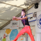 Szigetköz ízei, vármegye borai fesztivál / VÁRMEGYE SZÉPE - VÁRMEGYE HANGJA (Fotó: Horváth Attila)