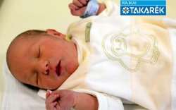 Farkas-Bognár Amira Anna, Mosonmagyaróvár