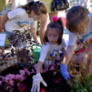 VII. Apró kezek, csodakertek Gyermek Kertépítő verseny