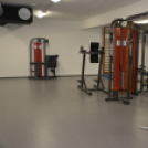 Bauer Rudolf Egyetemi Sportcsarnok sajtónyilvános bejárás