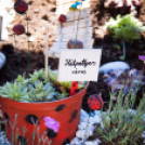 Apró kezek, Csodakertek - IX. Gyermek Kertépítő Verseny