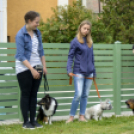 Pillangó Óvoda gyermeknap 2