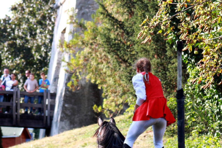 XI. Szigetköz ízei, Vármegye borai Fesztivál 2. nap Várárok