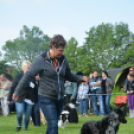 CAC kutyakiállítás (Fotó: Nagy Mária)