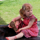 Az Ebuló Kutyaiskola interaktív kutyás bemutatója a Pillangó óvodában (Fotó: Stipkovits Veronika)