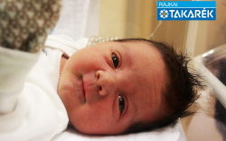 Kálmán Szilárd, Ásványráró