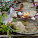 Apró kezek, csodakertek kertépítő verseny (Fotó: Horváth Attila)