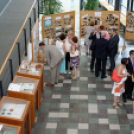 20 Rotary év 1 Rotary napban (Fotó: Horváth Attila)