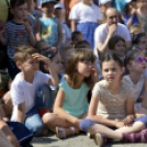 VII. Apró kezek, csodakertek Gyermek Kertépítő verseny