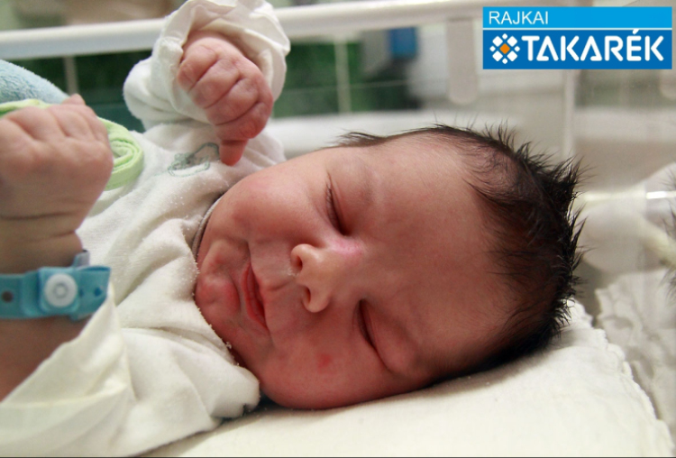 Szabó Bence László, Mosonmagyaróvár