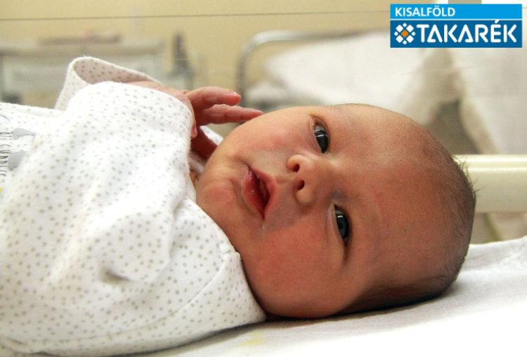 Szeidl Dominik, Mosonmagyaróvár