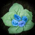 KÉK SÉTA az Autizmus Világnapja alkalmából