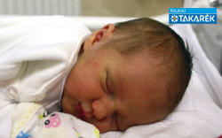 Kienzl Eszter Flóra, Sopron