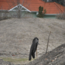 BMX pálya átadó (Fotó: Nagy Mária)