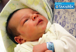 Batyanek Zétény, Mosonmagyaróvár