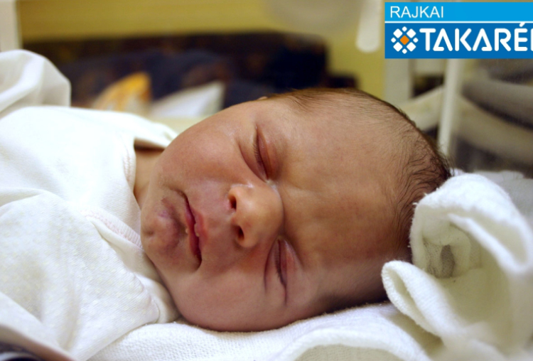 Zámbó Kevin, Mosonmagyaróvár