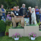 CAC kutyakiállítás (Fotó: Nagy Mária)