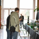 Kockanapok - Lego kiállítás (Fotó: Nagy Mária)