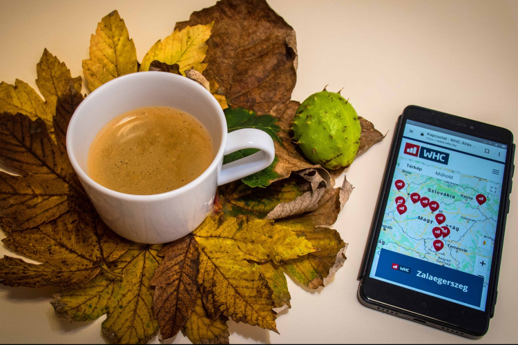 WHC Kft. munkatársakat keres