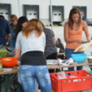 Greiner családi nap (Fotó: Nagy Mária)