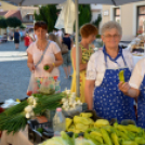 Virágzó Város Mosonmagyaróvár 1. nap KULT-UTCA (Fotó: Bánhegyi István)