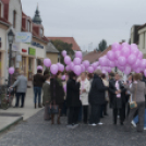 Egészség Hídja Összefogás - Lajtahidi séta